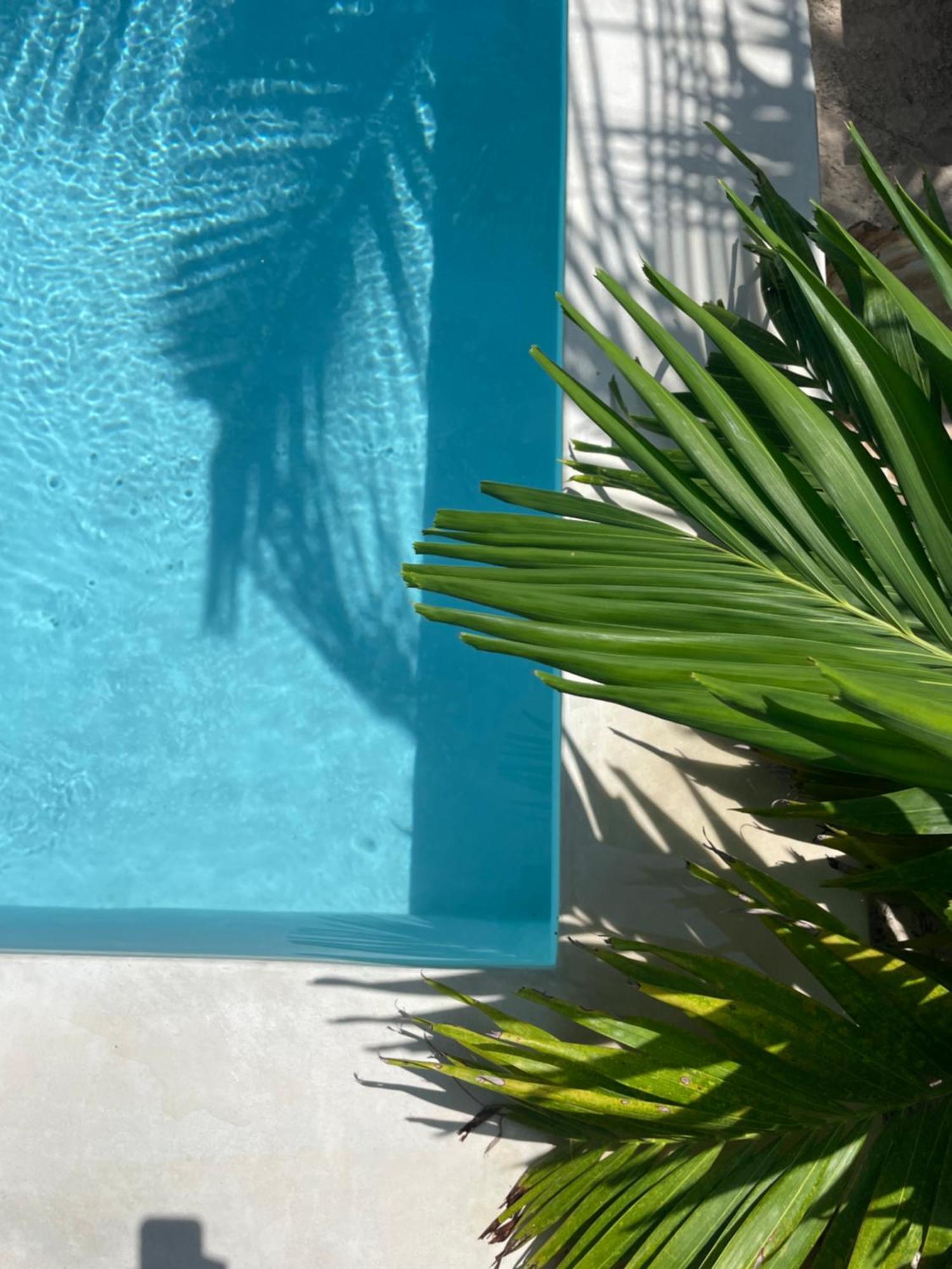 Nakupenda Paje Villa Exteriér fotografie