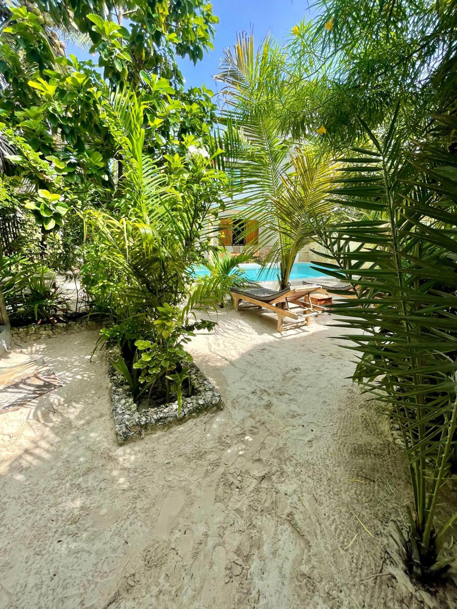 Nakupenda Paje Villa Exteriér fotografie