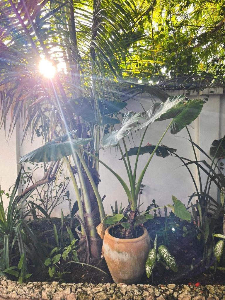 Nakupenda Paje Villa Exteriér fotografie
